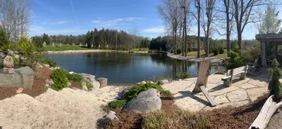 Professional pond clean-out