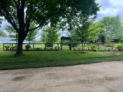 Backyard with narrow gate and slight slope