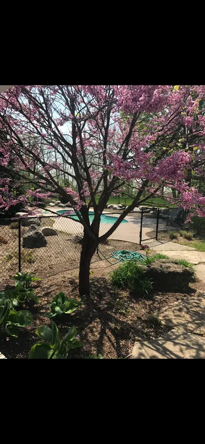 Fiberglass pool ready for spring opening in Ontario